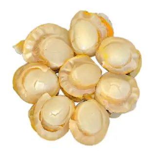 Sò điệp thêm - 15.000 ₫ tại Tiến Vua Food - Súp Bào Ngư Hải Sâm - Lê Văn Duyệt