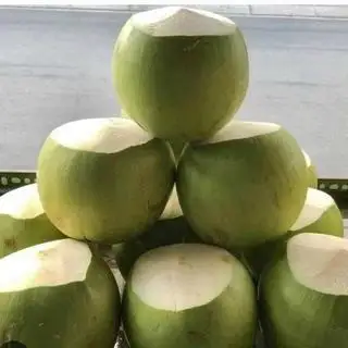 Hình ảnh Dừa xiêm Bến Tre loại 1 