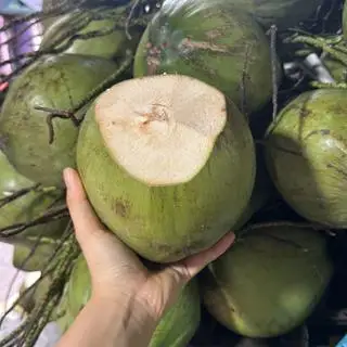 Hình ảnh Quả Dừa Xiêm Lạnh Size To 400ml - 450ml
