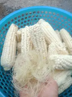 Hình ảnh Nước ngô luộc