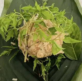 Hình ảnh Nem nắm nhỏ