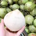 Hình ảnh Dừa xiêm gọt xuất L1
