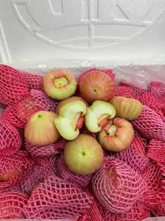 Hình ảnh 0,5kg Roi đào đá giòn ngọt