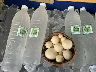 Hình ảnh Combo 3 chai nước dừa bánh tẻ Bến Tre