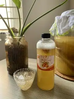 Mơ má đào - 95.000 ₫ tại Dịu Homemade - Kombucha & Thực Phẩm Hữu Cơ - Điện Biên Phủ