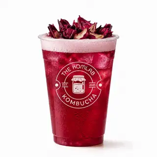 Hình ảnh Trà Kombucha Atiso Đỏ - Healthy
