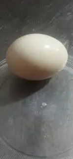 Hình ảnh cháo trứng muối 