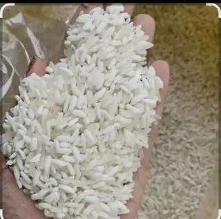 Hình ảnh gạo nếp nương tây bắc