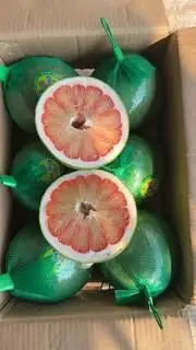Hình ảnh Bưởi Da Xanh