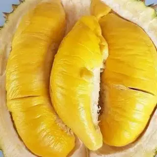 Hình ảnh 300gr sầu riêng musanking