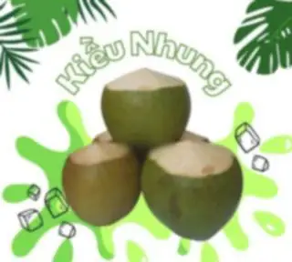Hình ảnh Combo 2 trái dừa xiêm