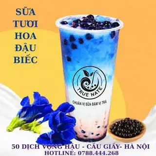 Hình ảnh Sữa tươi hoa đậu biếc