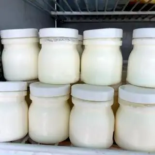 Sữa chua sữa tươi - 90.000 ₫ tại Bánh Flan Xinh - Bánh Flan - 463 Bạch Đằng