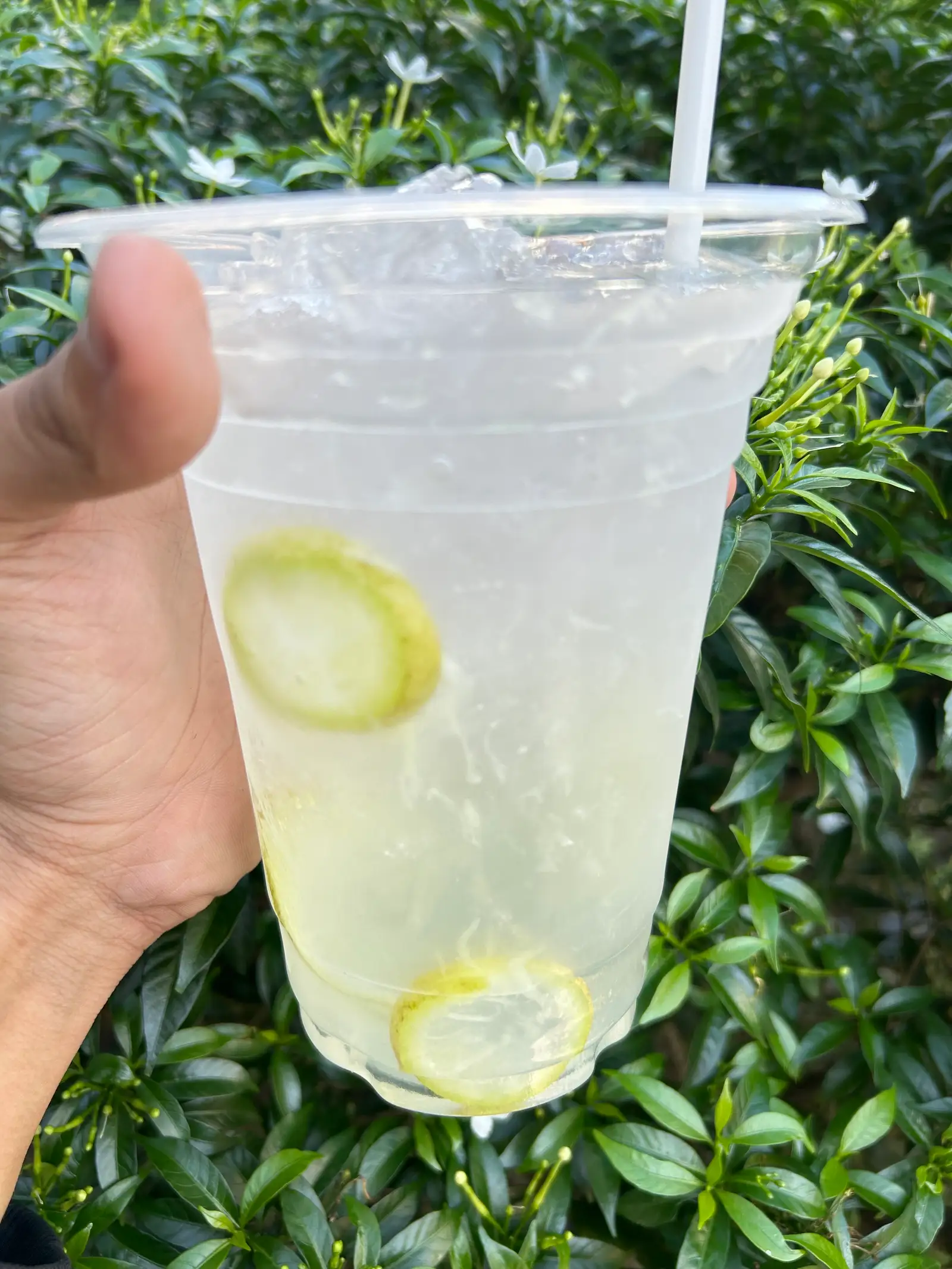 Nước chanh siêu to  - 30.000 ₫ tại Tinboni - Cà Phê & Trà - Âu Cơ