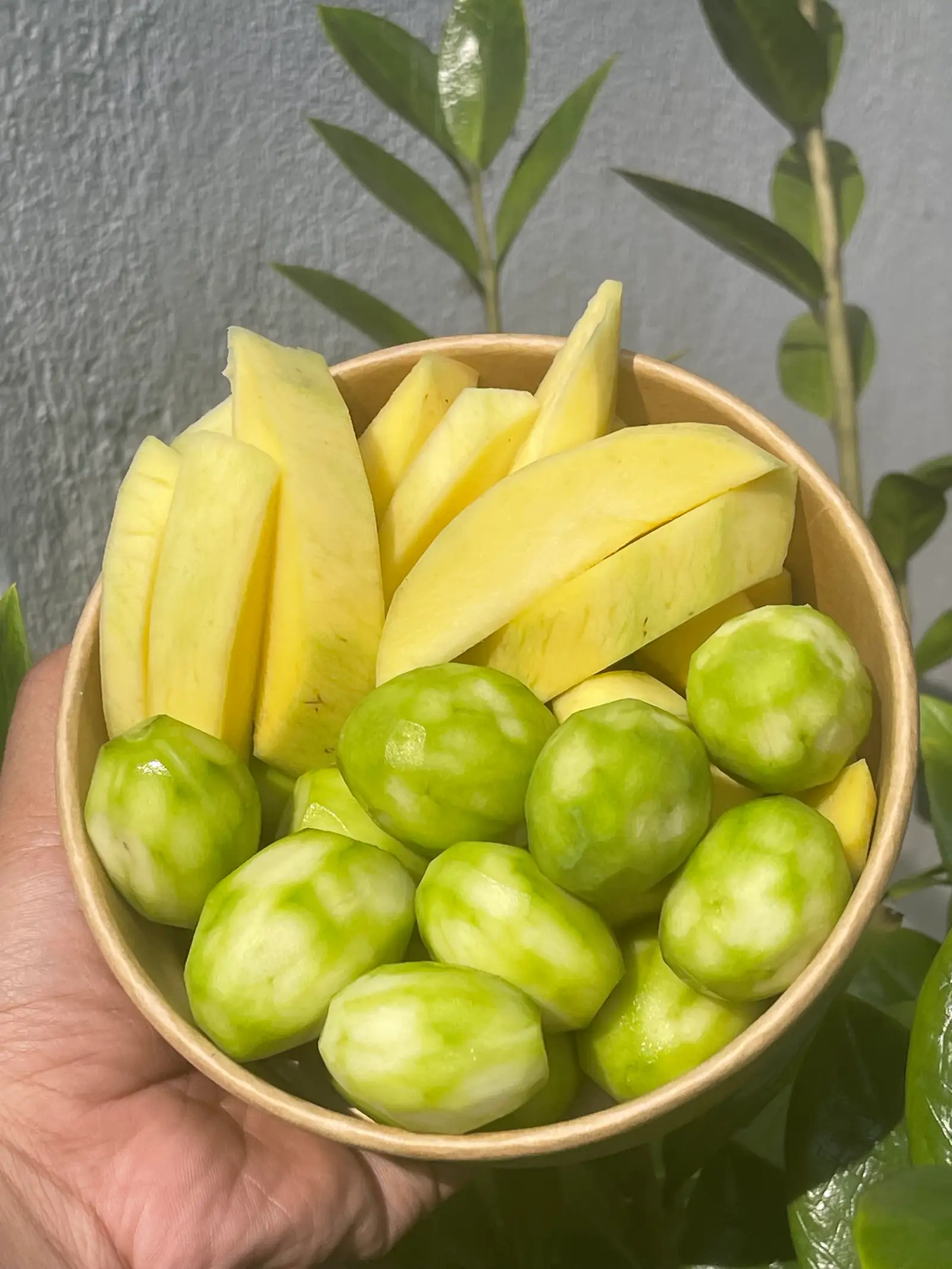 Hình ảnh Xoài , cóc non 