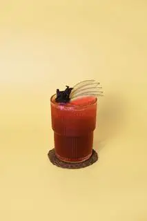 Hình ảnh Hibiscus Dưa Hấu (TQ 65k)