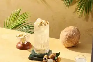 Hình ảnh Dừa Sen Nhãn