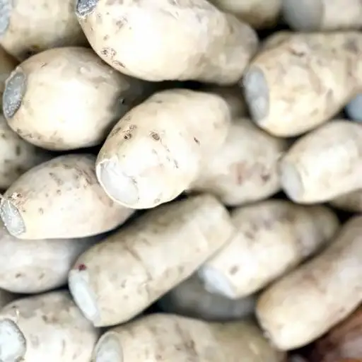 Hình ảnh Khoai lang trắng bột - 1kg