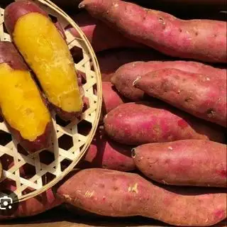 Khoai lang hấp -200Gram - 18.000 ₫ tại Ăn Vặt Cô 2