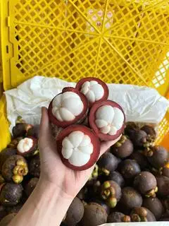 Hình ảnh Măng cụt bốc sẵn hộp