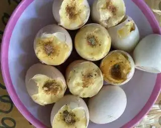 Hình ảnh Hột vịt dữa 