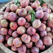 Hình ảnh mận bắc 1kg