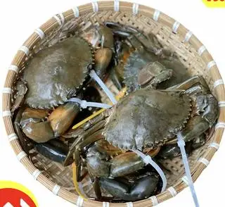 Hình ảnh Cua Thịt Song 4 con - 1kg