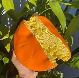 Hình ảnh Bánh sầu riêng phô mai (14cm)