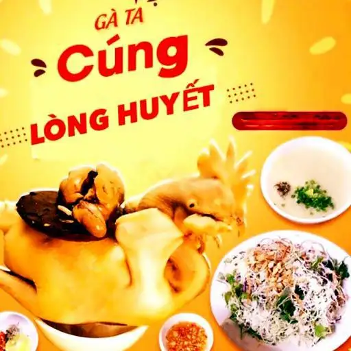 Gà cúng + cháo+gỏi +lòng +huyết  - 350.000 ₫ tại Gà Ta Sơn Ca - Gà Cúng, Gỏi, Cơm & Cháo