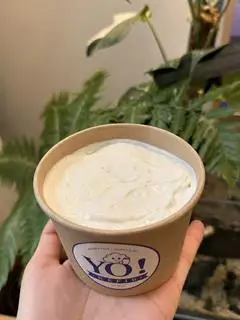 Hình ảnh Sữa chua Hy Lạp kefir - 50gr