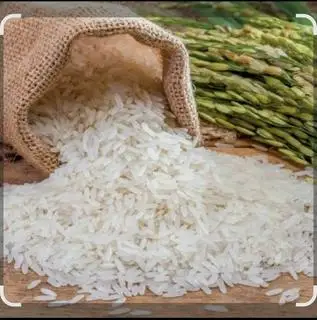 Hình ảnh gạo sén cù hạt dài tây bắc