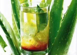 Trà tắc nha đam tươi - 40.000 ₫ tại Kalita Kafé - Trường Sa