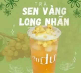 Hình ảnh Sen vàng long nhãn