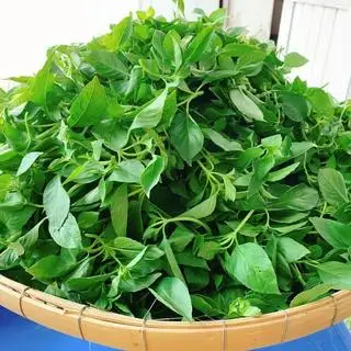 Hình ảnh Lá é thêm