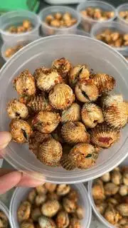 Hình ảnh Sò huyết sấy muối -250g 