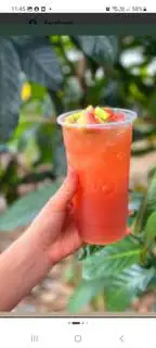Hình ảnh Trà ổi hồng