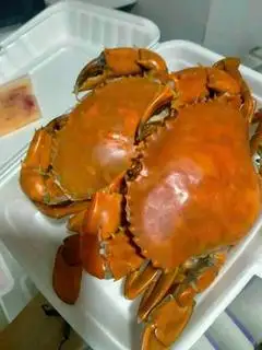 Hình ảnh Combo 2 gạch to hấp chín 