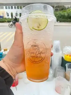 Hình ảnh Trà tắc / Chanh