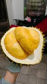 Hình ảnh sầu riêng nguyên quả bao ăn có bóc khay luôn
