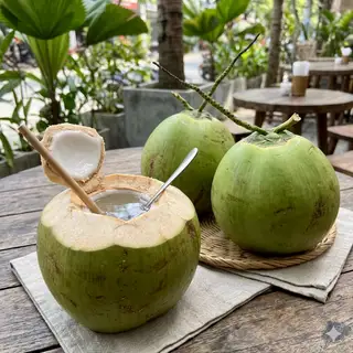 Hình ảnh Dừa xiêm 