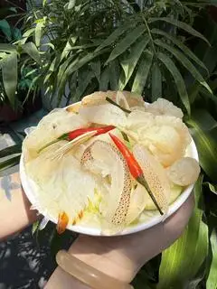 Hình ảnh Sứa mix 6(sứa đạn , cánh tiên, chân mèo, đạn nón, sợi, và sứa rong nho)