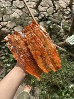 Hình ảnh Khô cá mối 