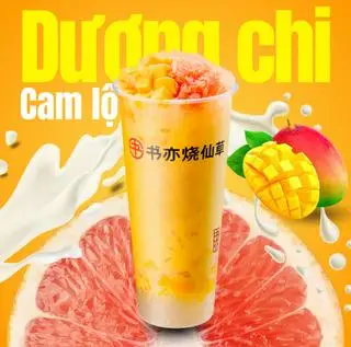 Dương chi cam lộ - 60.000 ₫ tại SHUYI - Tô Hiến Thành