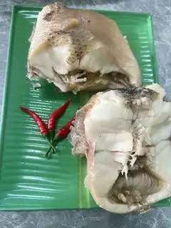 Hình ảnh cá lóc bông thêm 