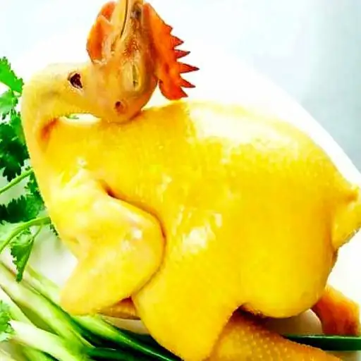 Hình ảnh Gà luộc