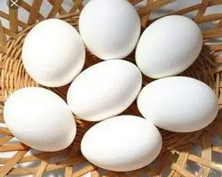 Hình ảnh Trứng Vịt Lộn