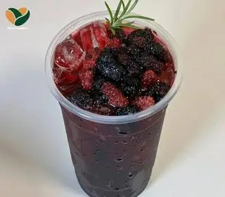 Hình ảnh Trà dâu tằm