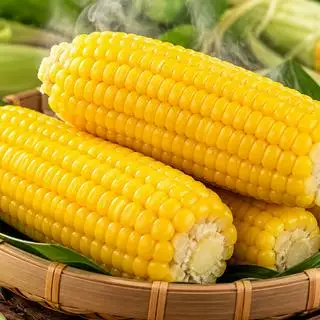 Hình ảnh bắp Mỹ/nếp 