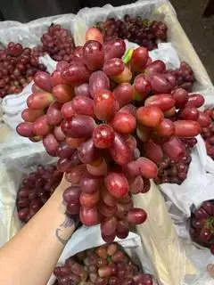 Hình ảnh nho đỏ ruby siêu ngọt 