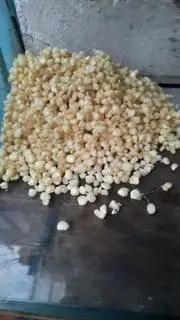 bắp xào truyền thống  - 30.000 ₫ tại Cá Viên Chiên & Bắp Xào 24h - Nguyễn Hữu Dật